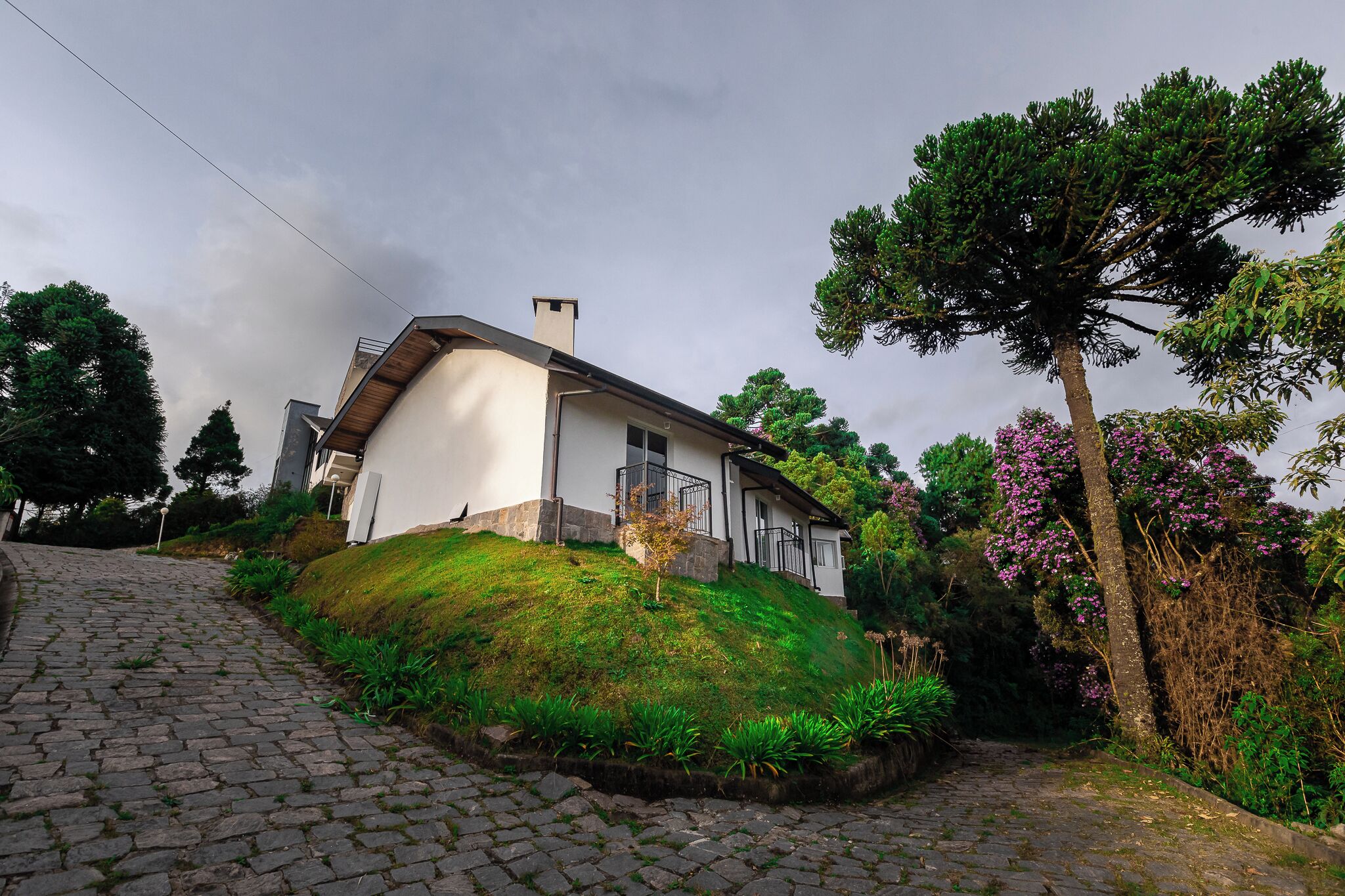 Photo - Villa Hegus no Alto da Boa Vista