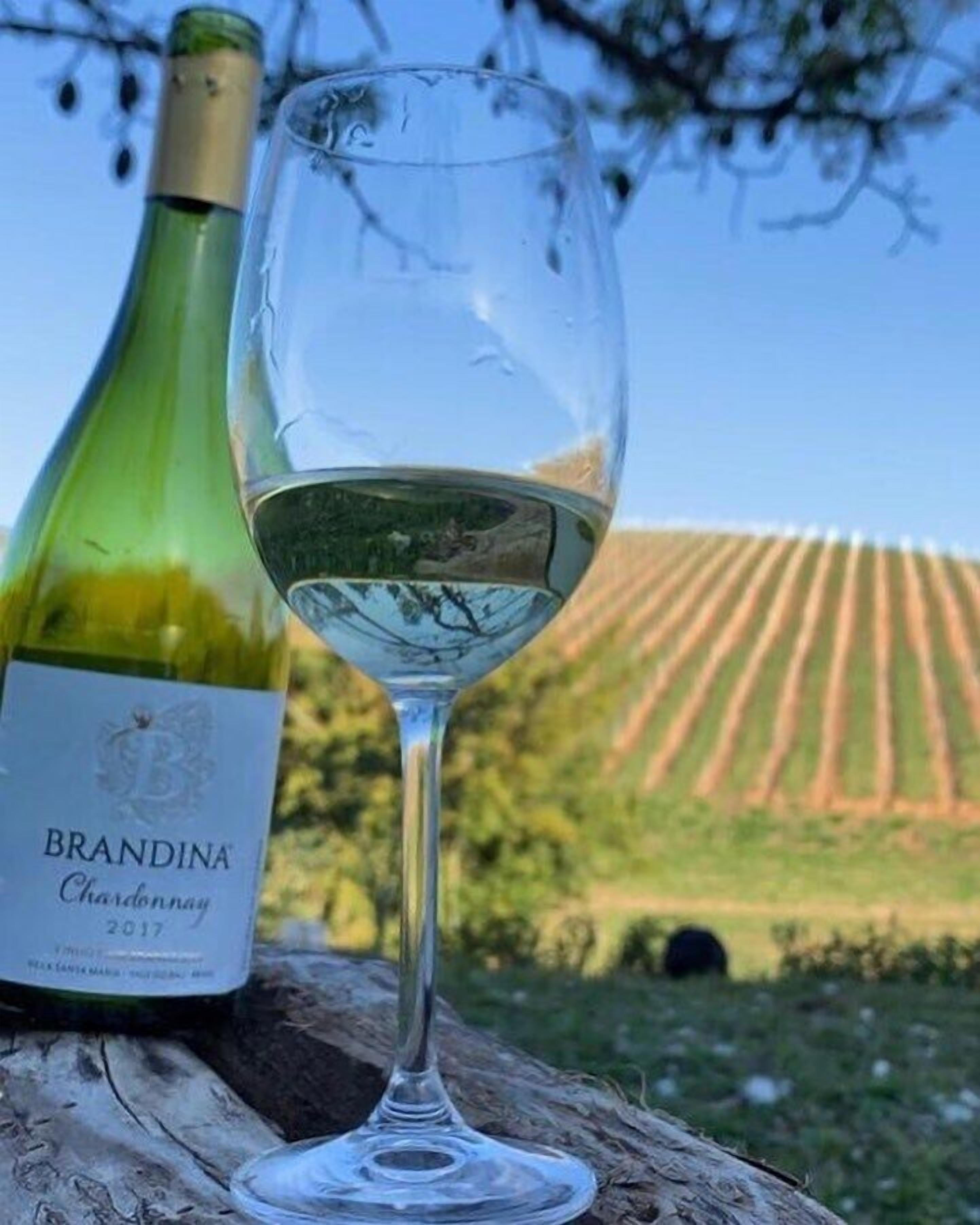 Foto - Villa Hegus no Alto da Boa Vista