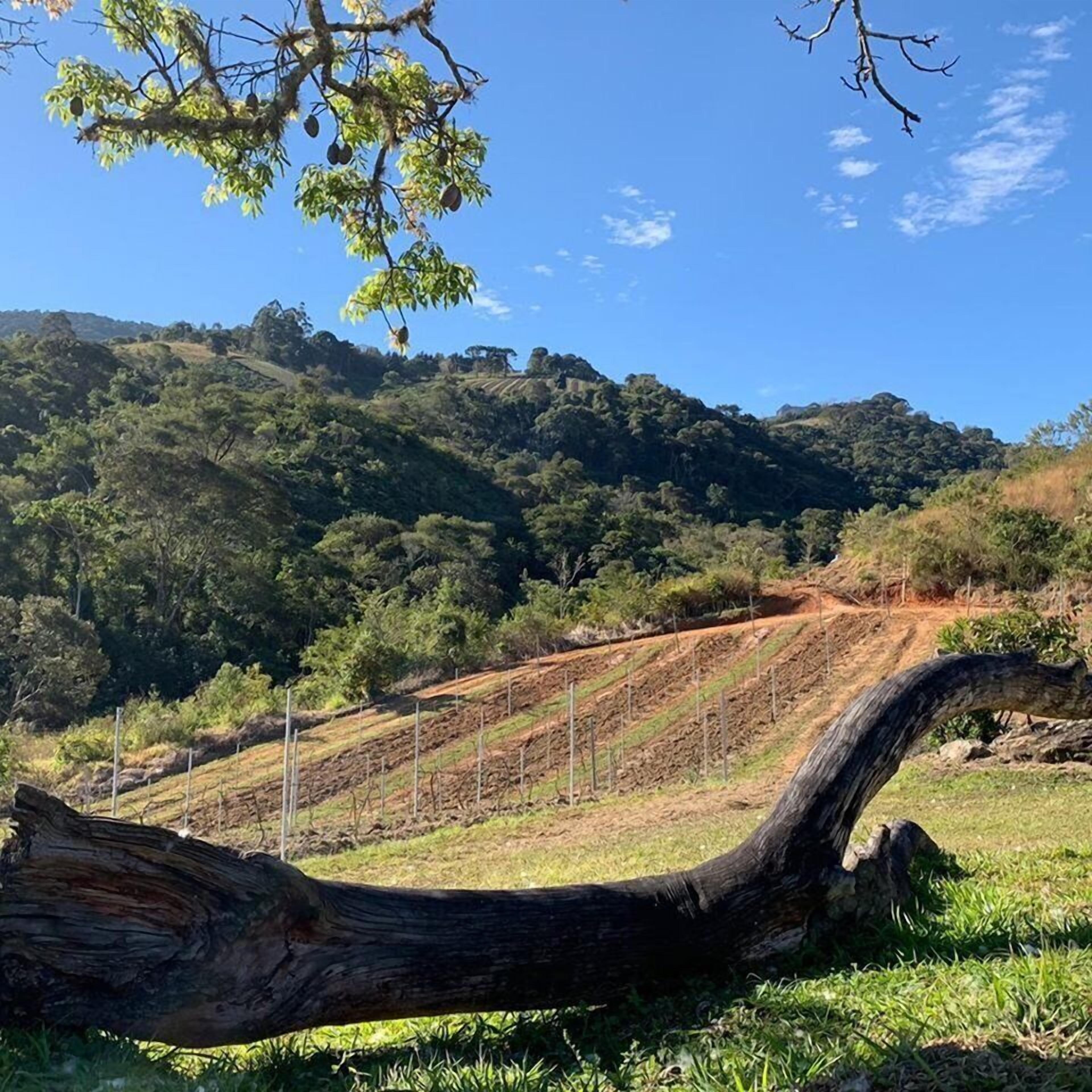 Foto - Villa Hegus no Alto da Boa Vista