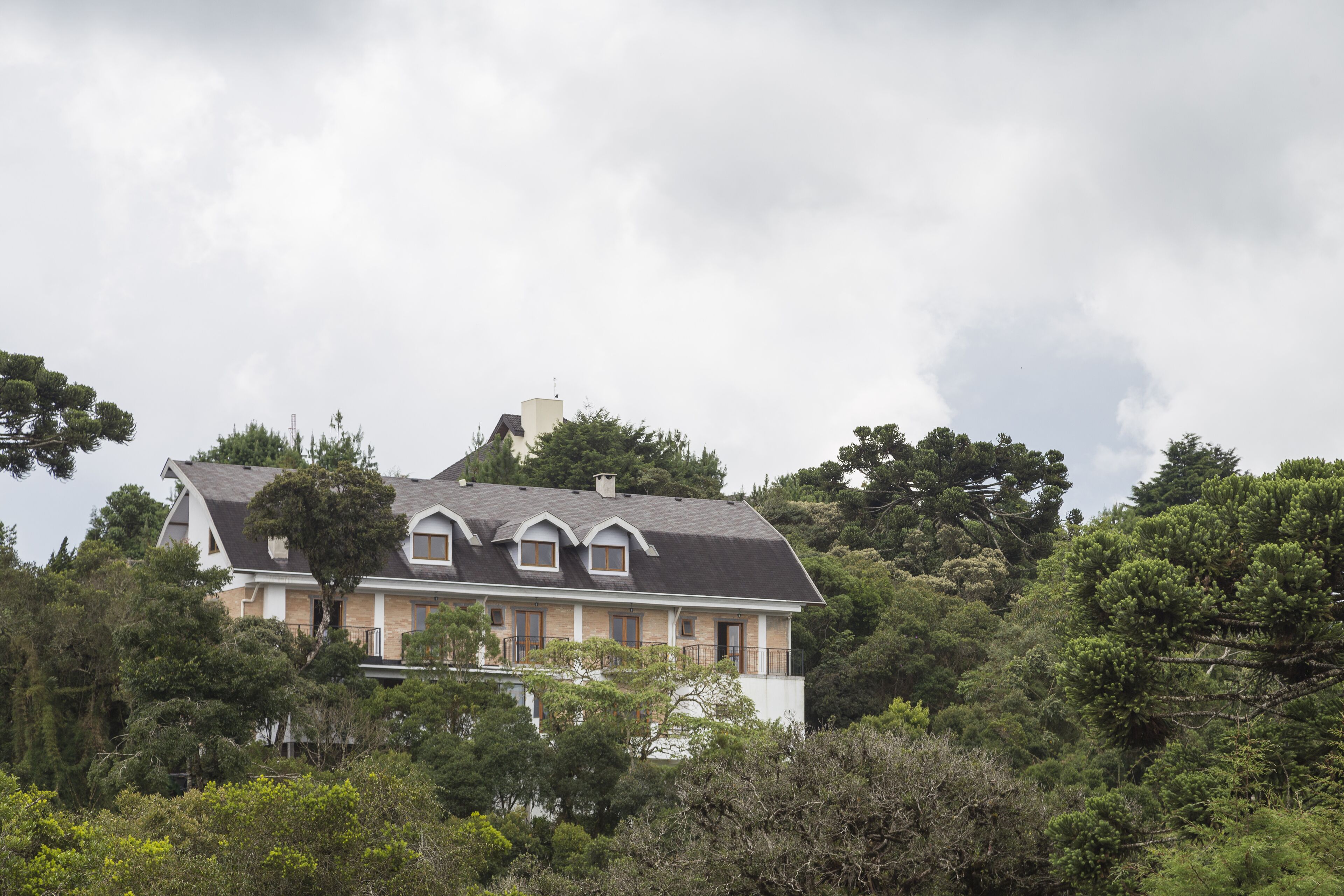 Photo - Villa Hegus no Alto da Boa Vista