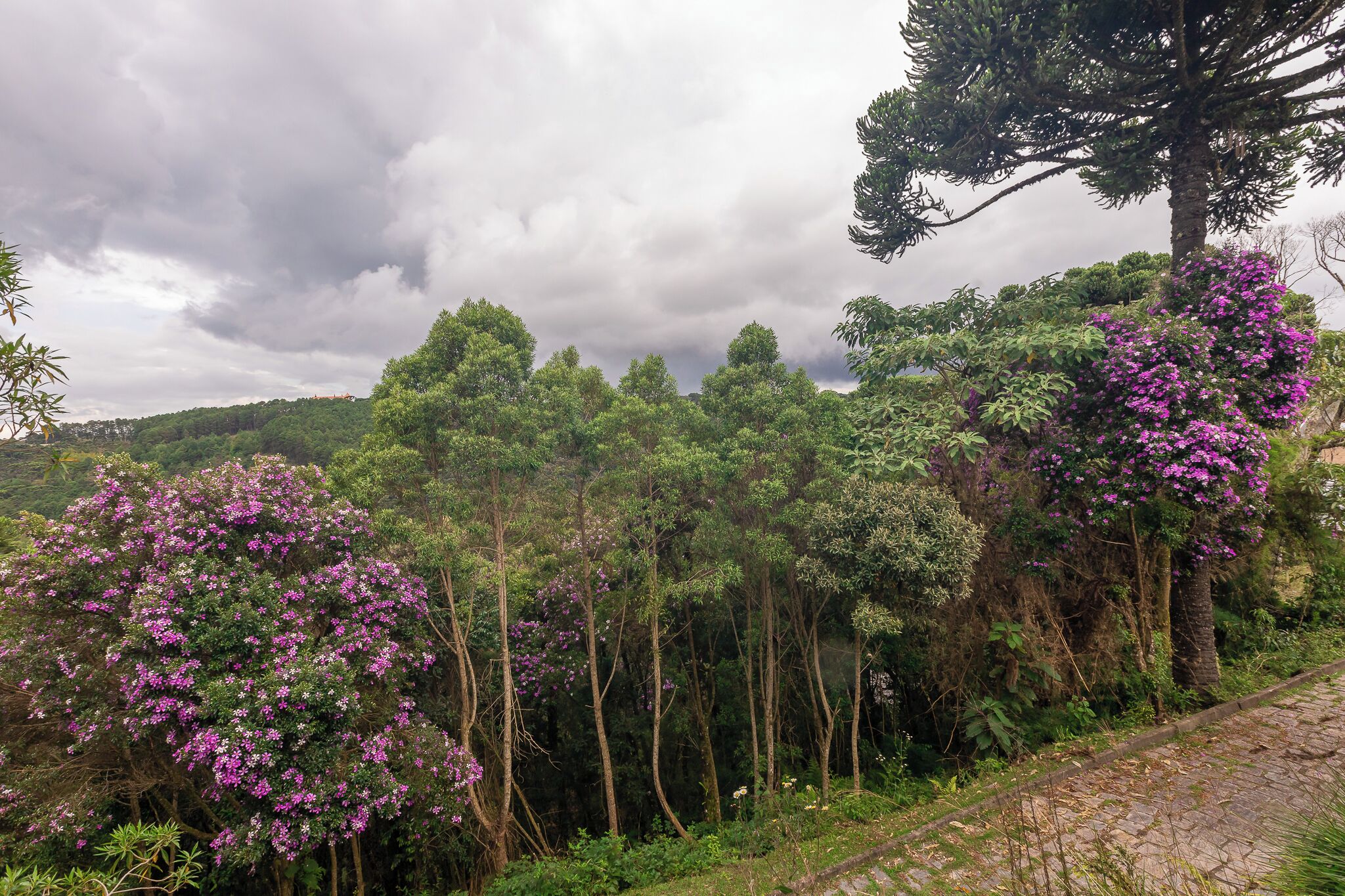 Pemandangan gunung