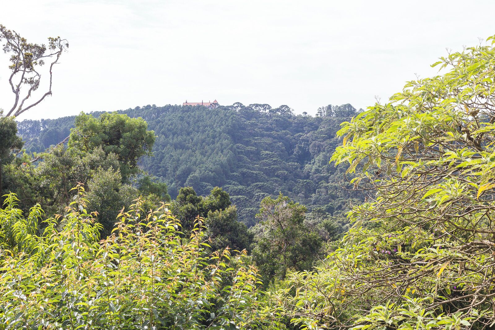 Photo - Villa Hegus no Alto da Boa Vista