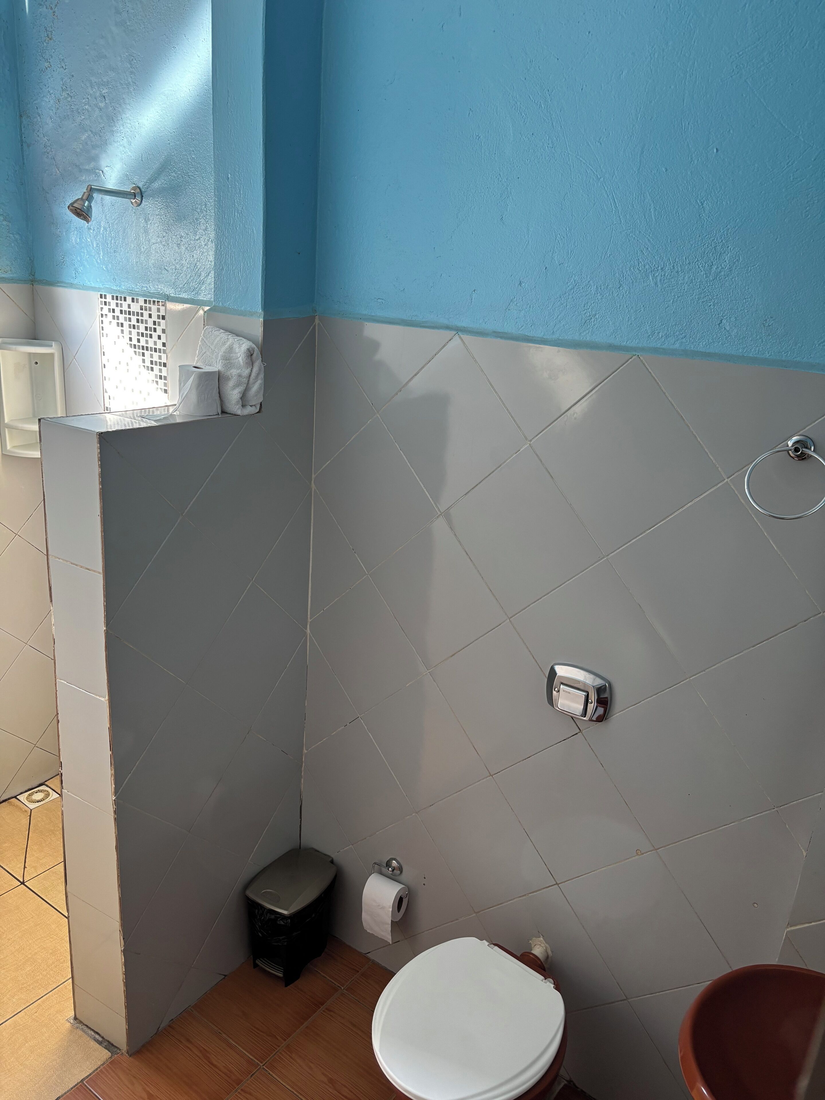 A small bathroom with a toilet, a sink, and a shower.