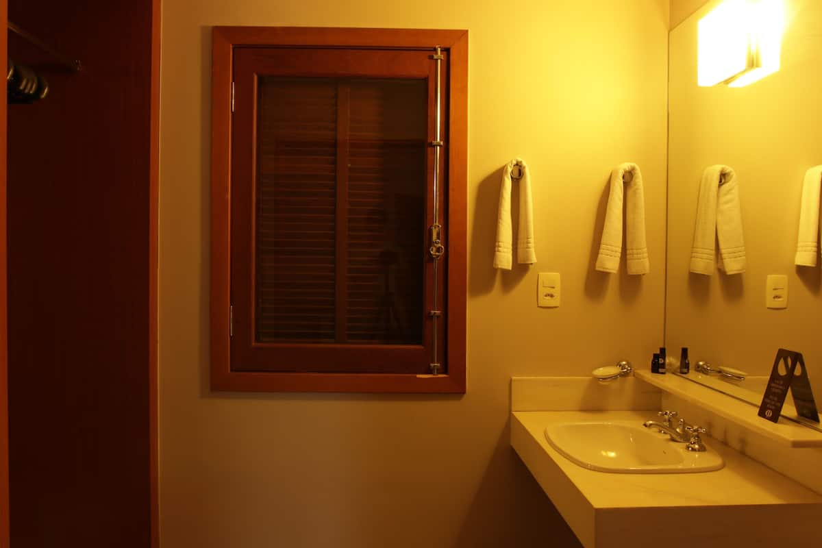 deluxe chalet | bathroom sink