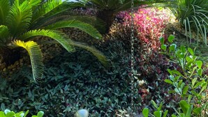 A tropical garden with a thatched-roof structure, lush green foliage, and a stone wall. - Hotel OT (Tres Lagoas)