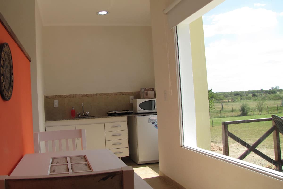 Una pequeña cocina americana equipada con microondas, un lavabo y una ventana con vistas a un área verde.