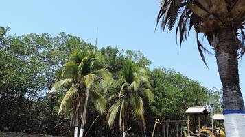 Children can play on the playground with a swing set and slide amidst lush greenery and a stone wall in the background.