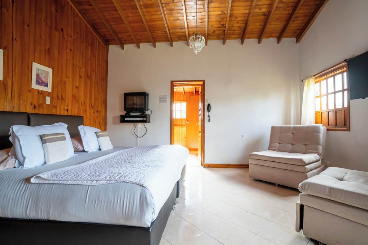 A bedroom with a bed, a chair, a television, and a wooden ceiling.