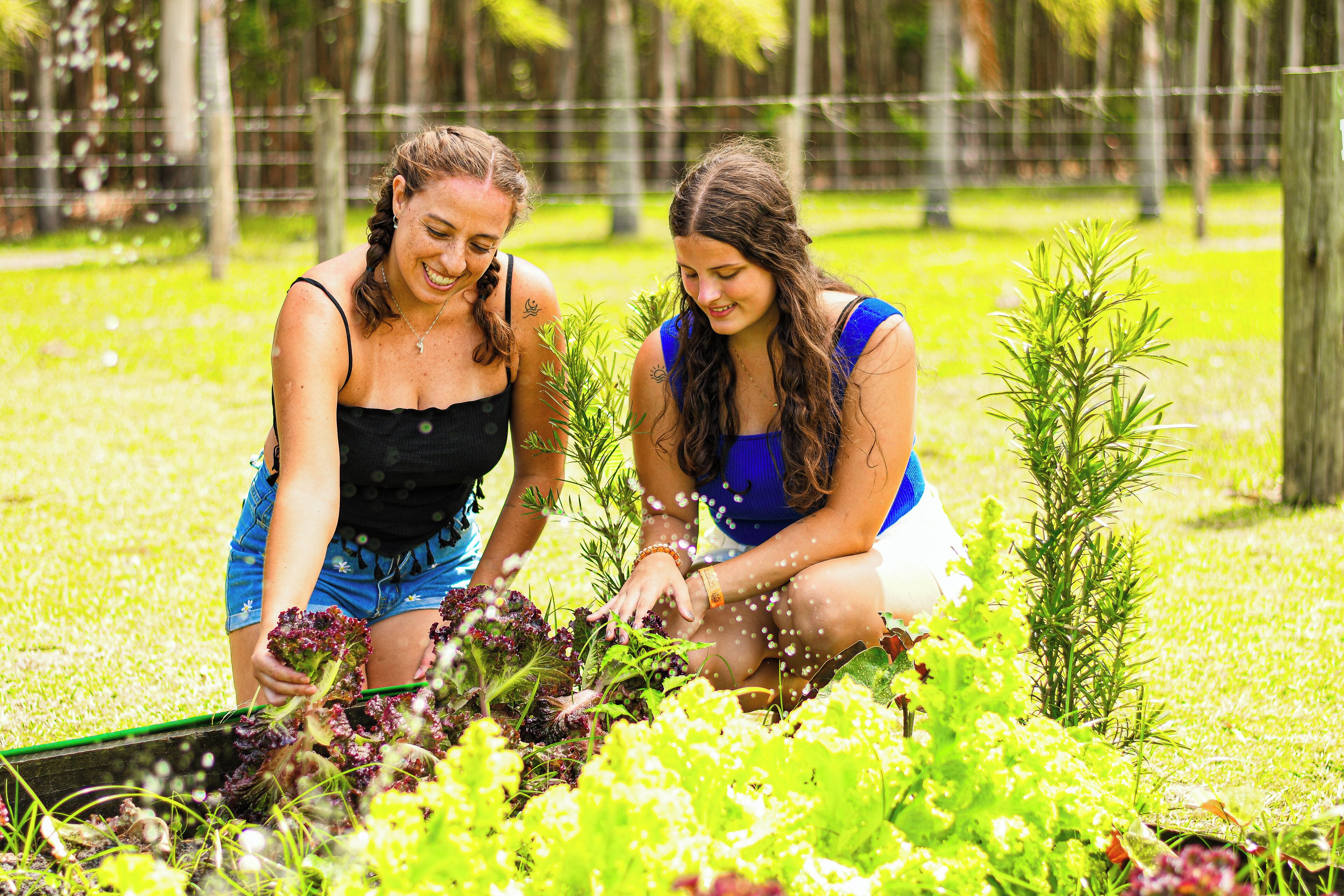 Dos personas trabajando en un jardín, con una valla y árboles al fondo.