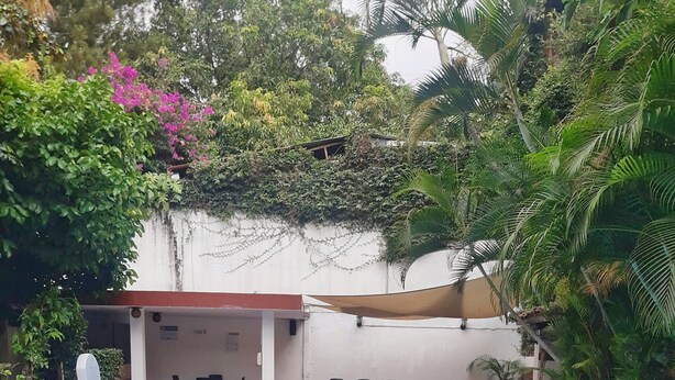 Alberca