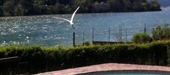 Cabañas Las Lagartijas