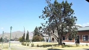 A building with a large tree in front, a lamp post, and a mountain in the background. - Hostería ACA Tafí del Valle (Tafi del Valle)