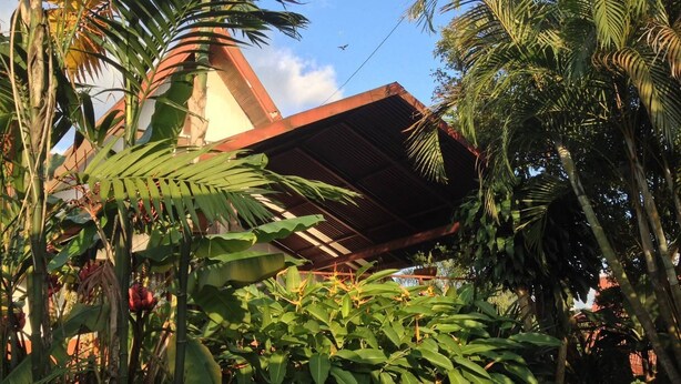 A building with a sloped roof surrounded by dense tropical foliage. - Bed & Breakfast Chaletico (San Jose)