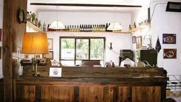Eine rustikale Bar mit Holztresen, Hockern und einem Fenster mit Blick auf Grünflächen.