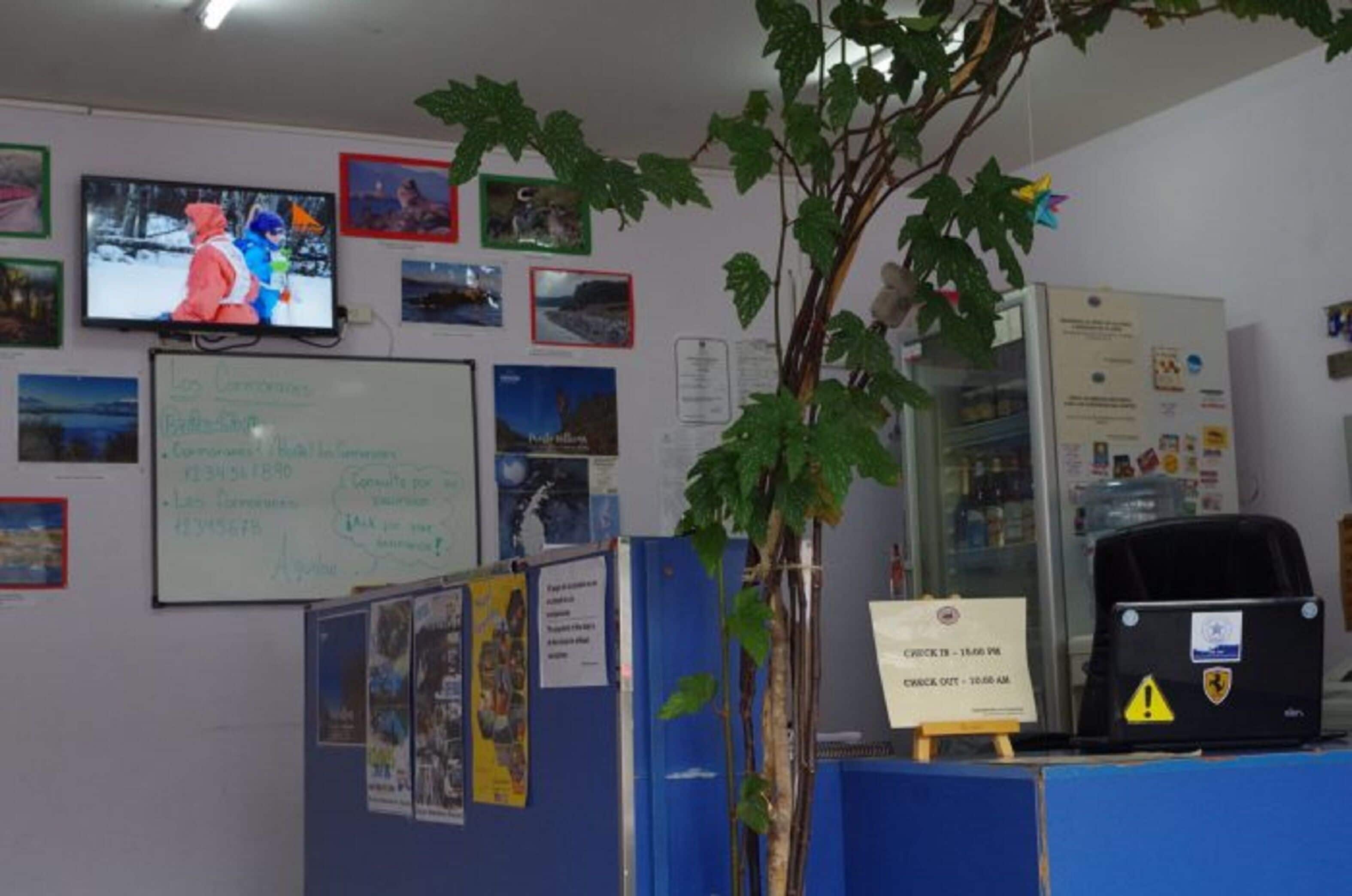 Foto - Hostel Los Cormoranes