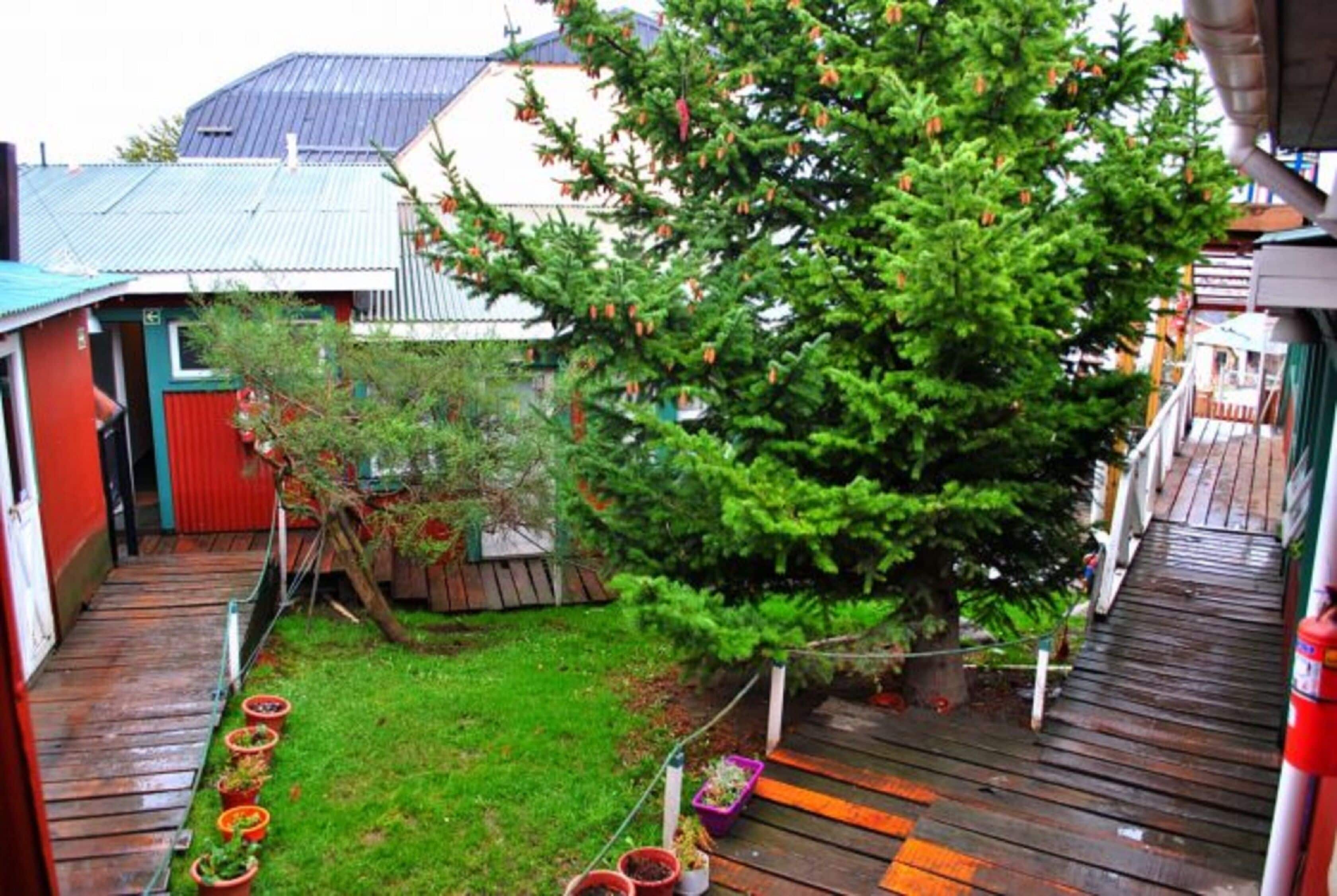 Foto - Hostel Los Cormoranes