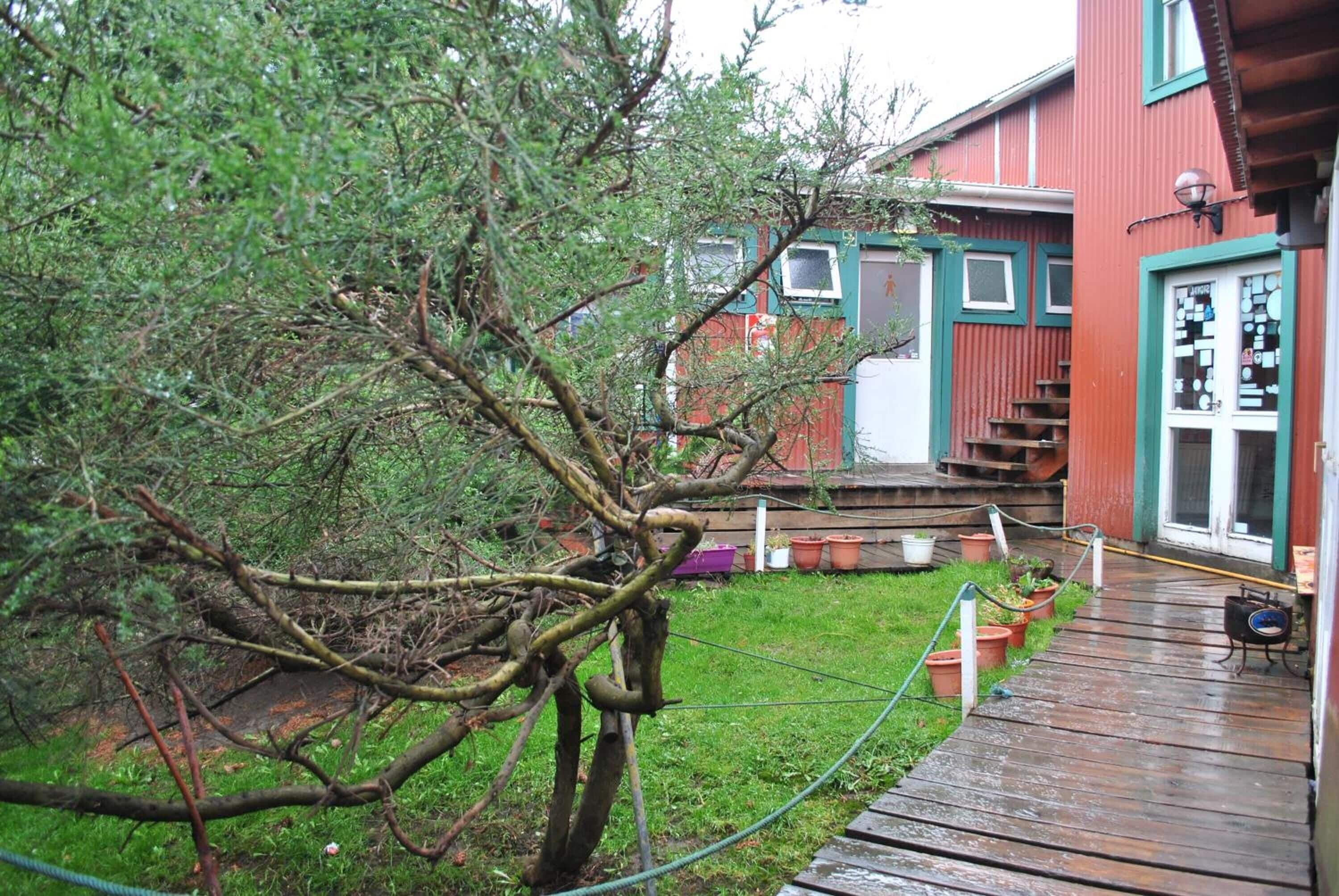 Foto - Hostel Los Cormoranes