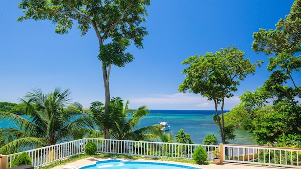 Una piscina con vistas al océano y palmeras.
