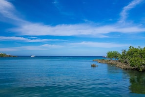 A clear view of a calm sea with a boat in the distance, rocky shoreline with vegetation, and a clear sky.