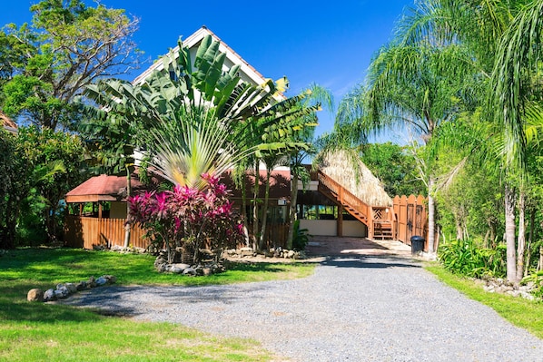 A house with a thatched roof, surrounded by tropical vegetation and a gravel driveway.