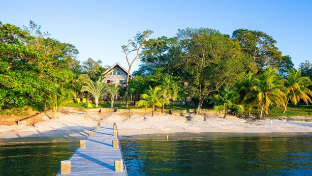 A wooden pier leading to a house surrounded by lush greenery and palm trees. - Casa de Rexanna upper (Roatan)