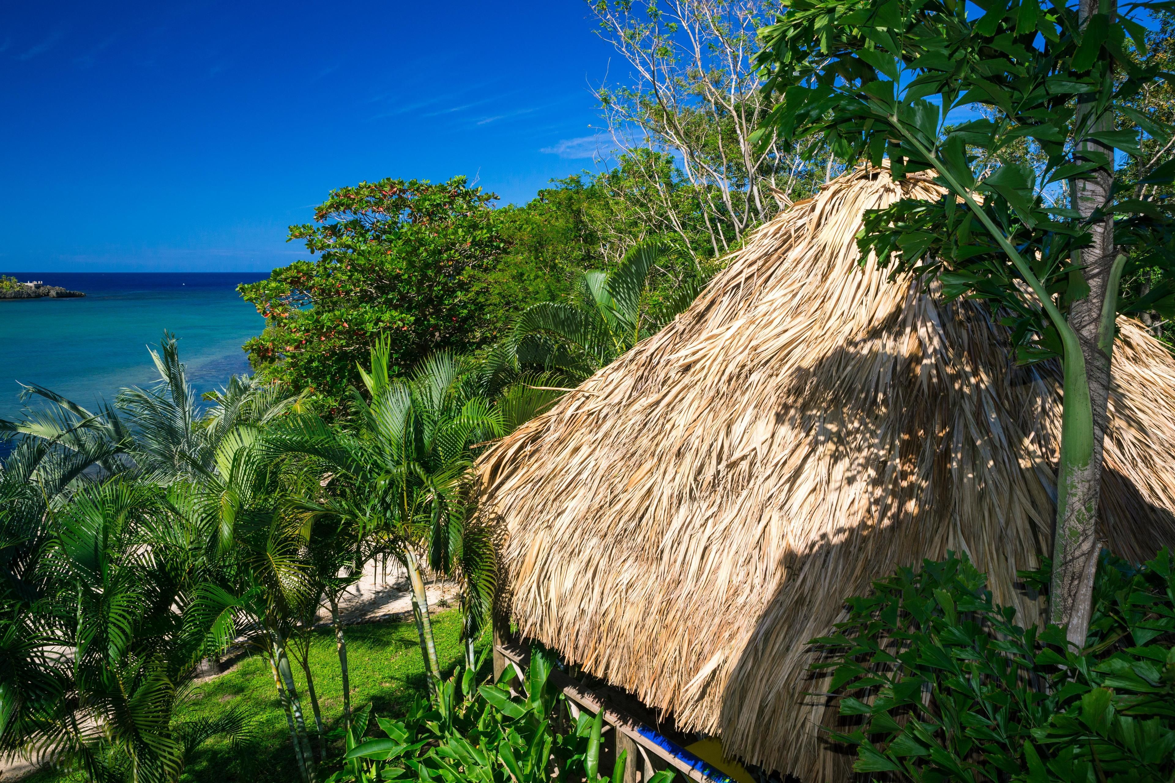 A thatched-roof structure surrounded by lush greenery and a clear blue sky.