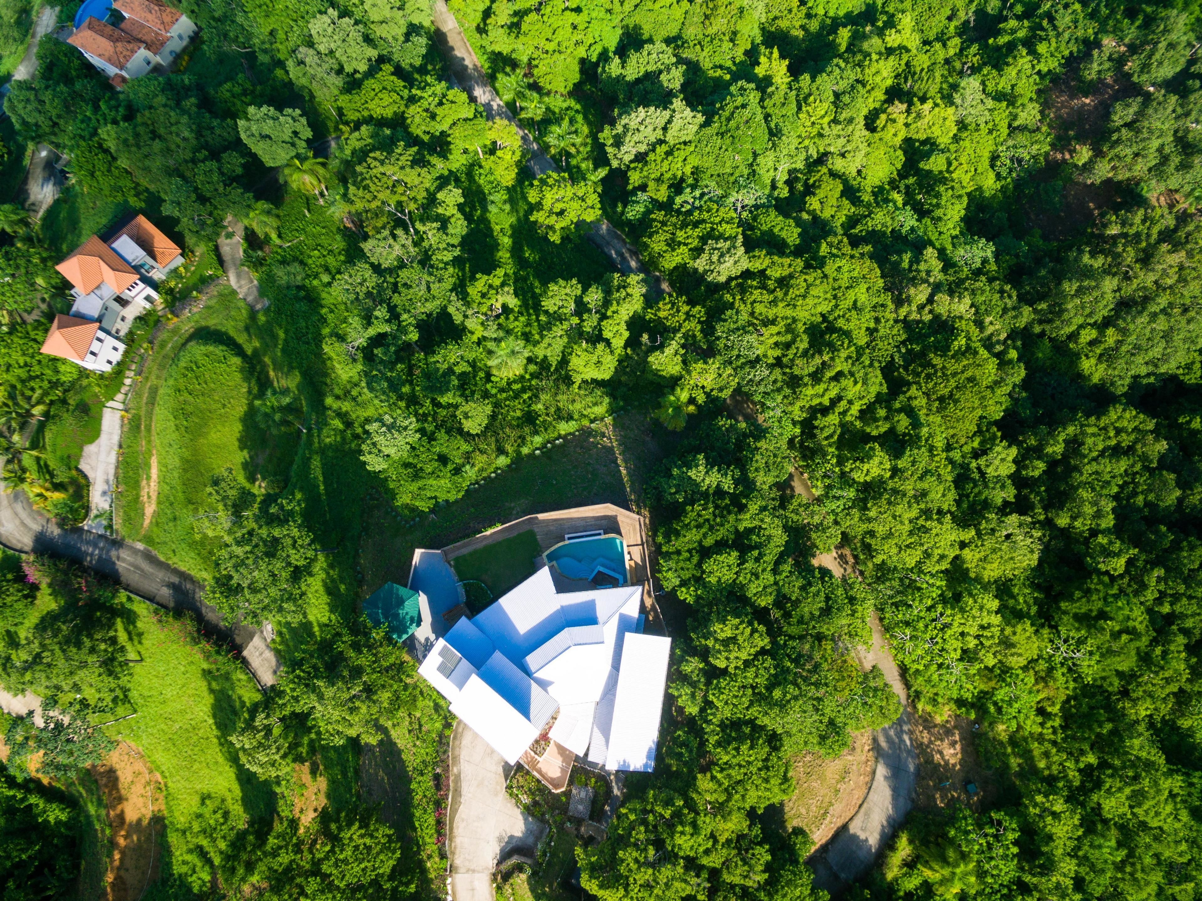 Vista aérea de una propiedad con piscina, rodeada de abundante vegetación y algunos edificios.