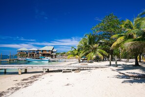 Une propriété située en bord de mer, dotée d’un quai, d’un bateau et de palmiers.