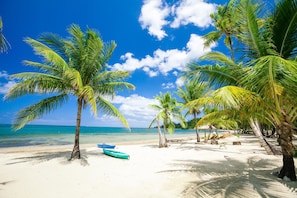 A beach with palm trees, a clear blue sky, and calm sea. - Casa Flores (Roatan)