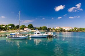 Vista desde la propiedad