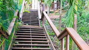 Una escalera de madera rodeada de abundante follaje.
