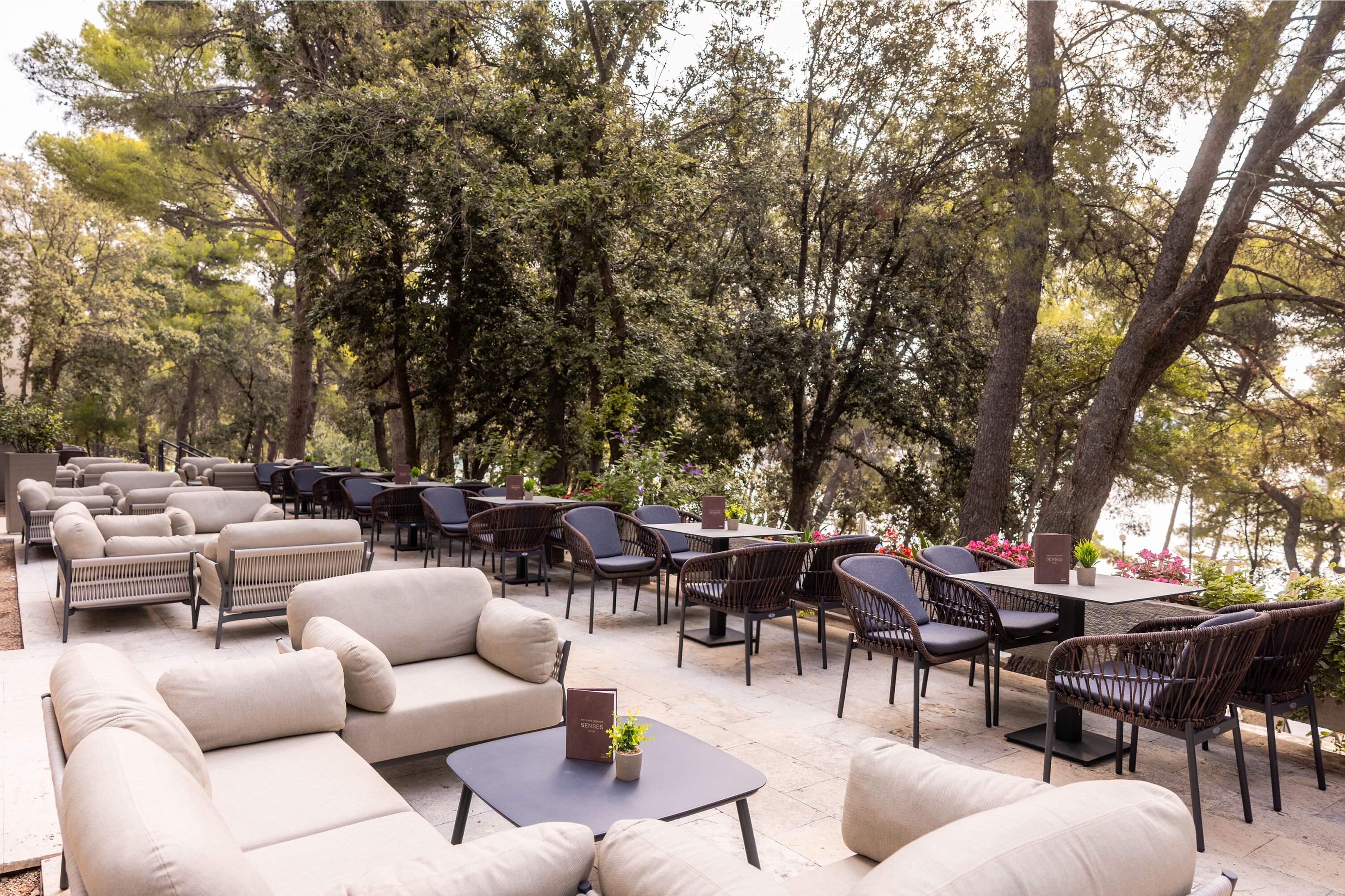 An outdoor seating area with sofas, chairs, and tables, surrounded by trees.