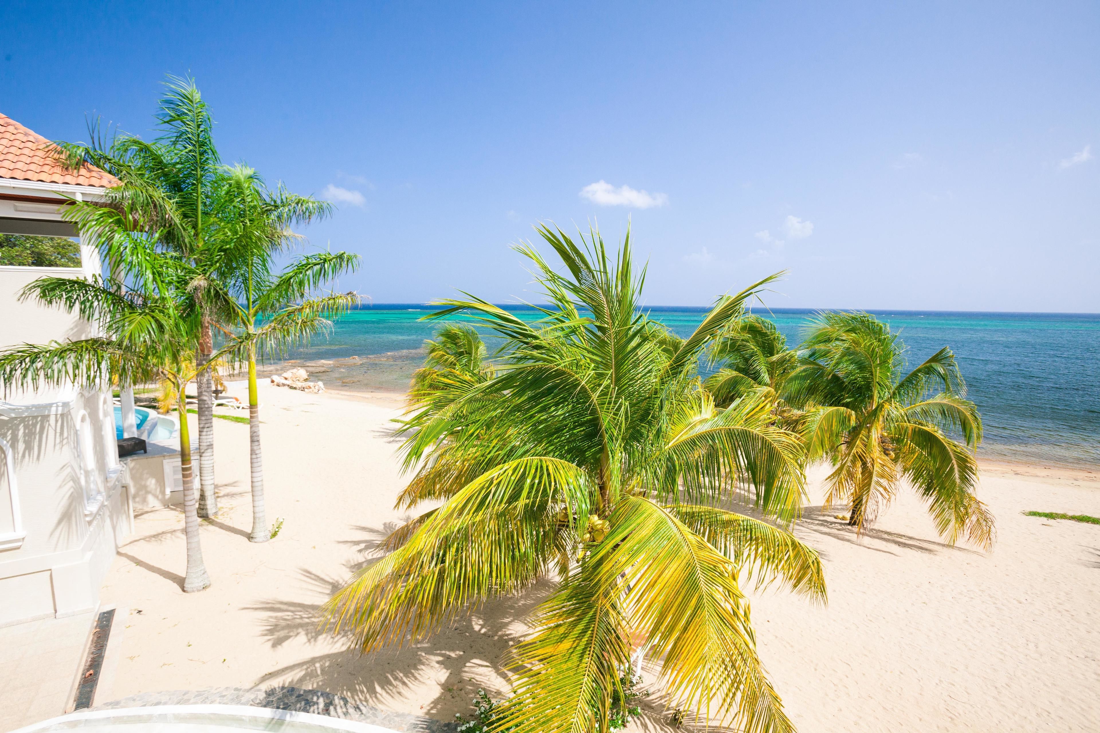 condo, 2 bedrooms, terrace, ocean view | beach | on the beach, white sand, kayaking