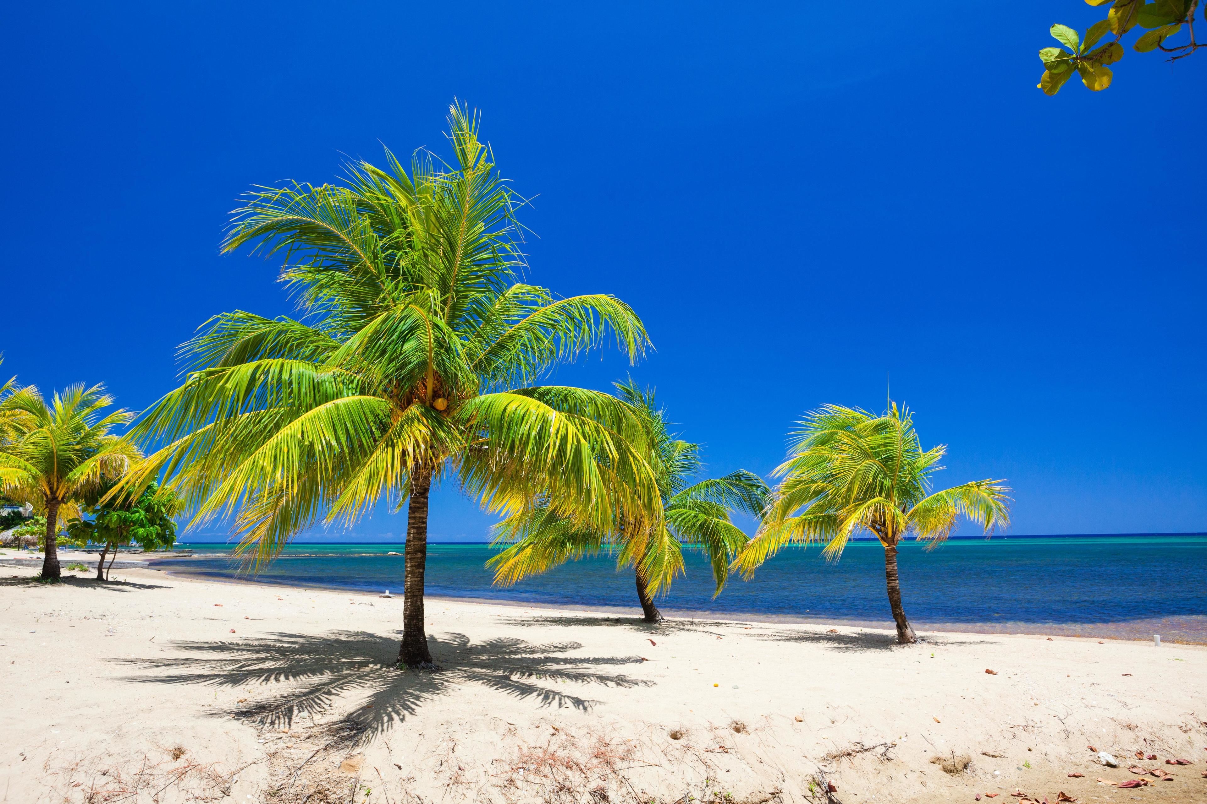 on the beach, white sand