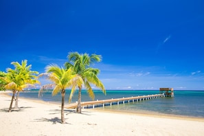 Condo, 3 Bedrooms, Ocean View | Beach - Lawson Rock Parrotfish 106 (Roatan)