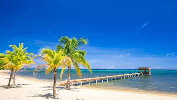 Condo, 3 Bedrooms, Terrace, Ocean View | Beach | On the beach, white sand, kayaking