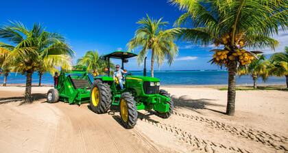 Lawson Rock Parrotfish 206
