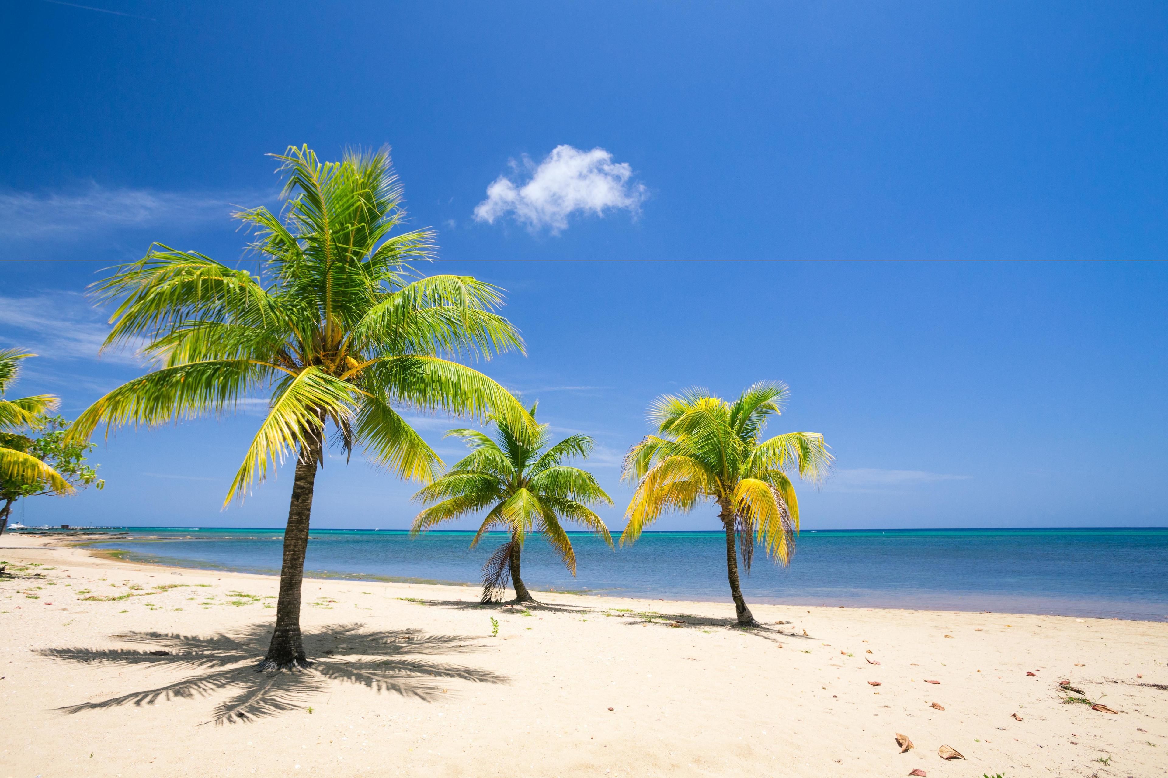 condo, 3 bedrooms, terrace, ocean view | beach | on the beach, white sand, kayaking