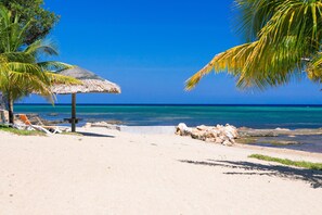 Condo, 3 Bedrooms, Terrace, Ocean View | Beach | On the beach, white sand, kayaking