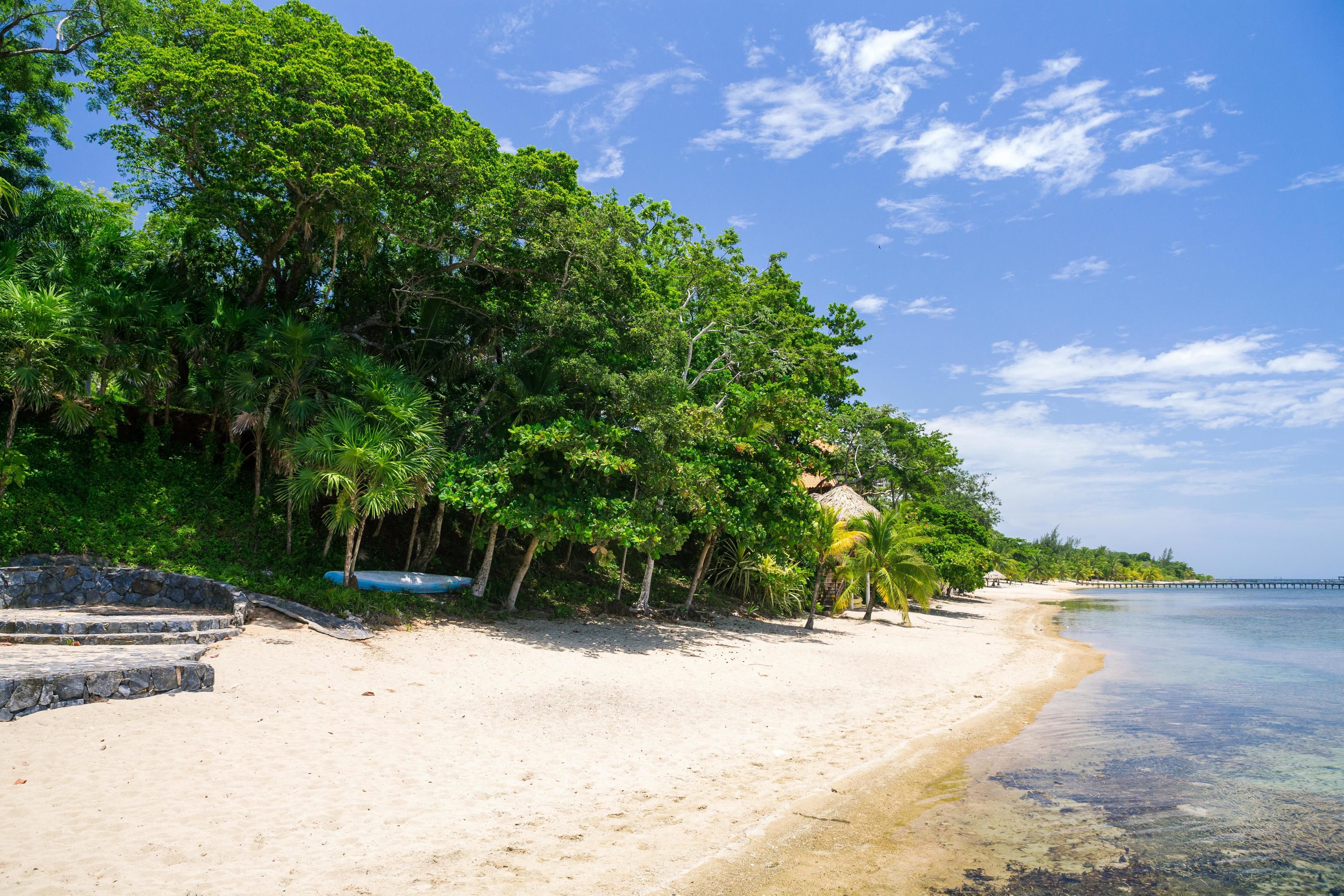 condo, 3 bedrooms, terrace, ocean view | beach | on the beach, white sand, kayaking