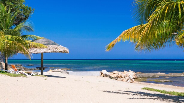 Une plage avec un parasol en chaume, des chaises longues et un palmier.