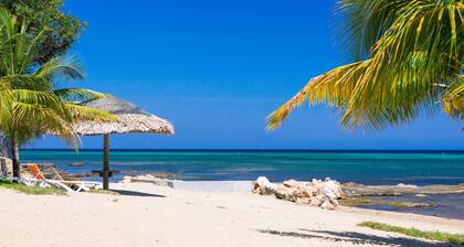 Lawson Rock Yellowfish 109