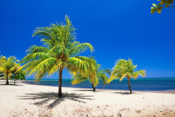 Condo, 1 Bedroom, Garden View | Beach