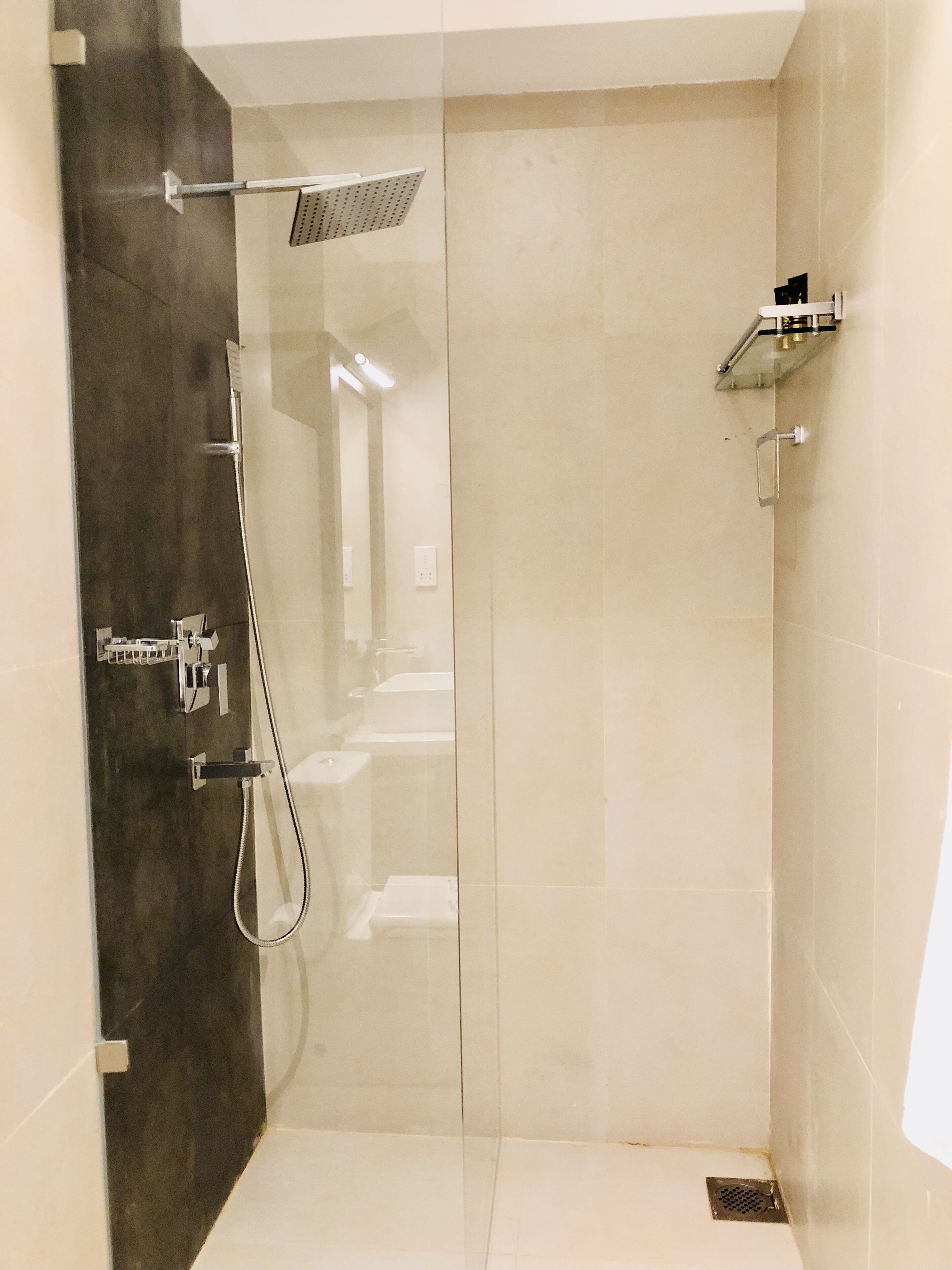 A modern shower with a glass door, a handheld showerhead, and a wall-mounted faucet.