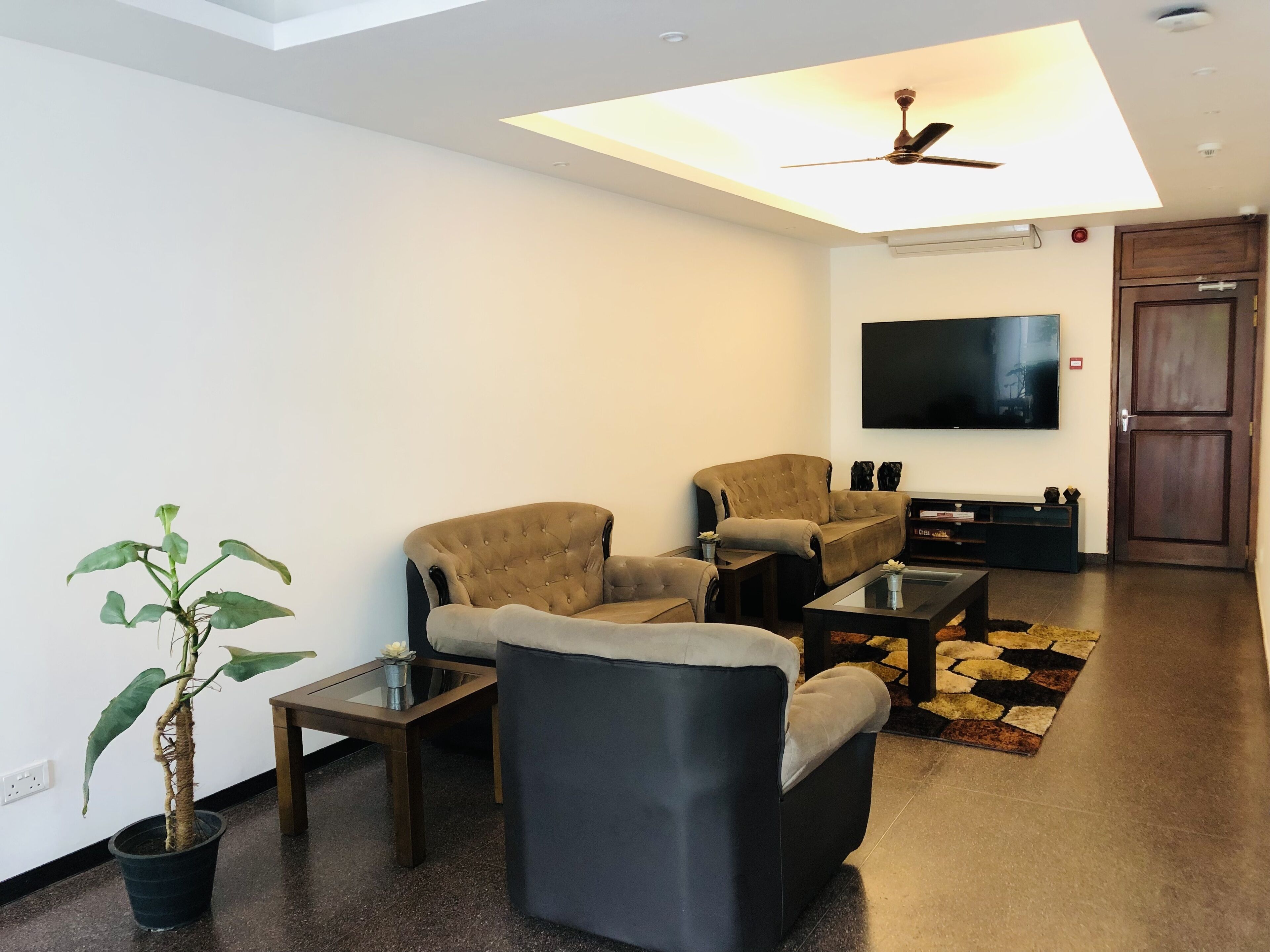 A modern living room with a ceiling fan, a flat-screen TV, and a potted plant.