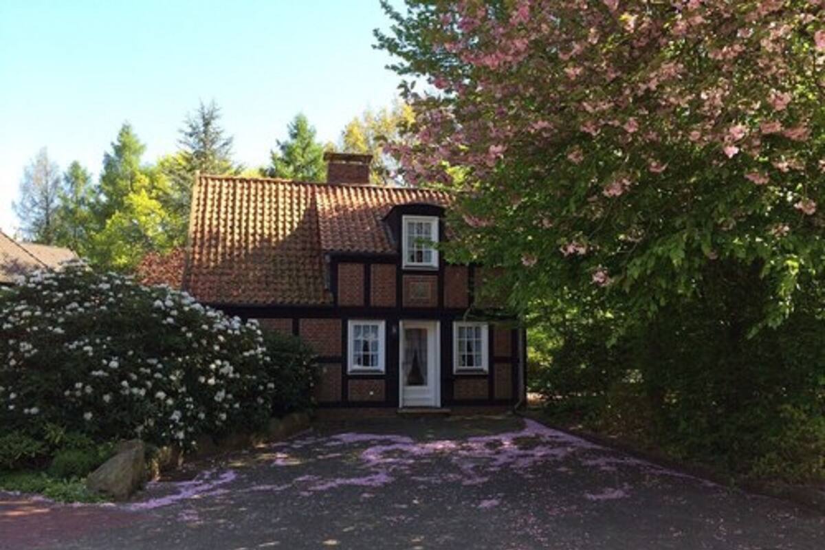 Comfort House, 4 Bedrooms, Terrace, Garden Area (Mandatory Cleaning Fee 85 € per Stay) | Minibar, in-room safe, individually decorated, individually furnished