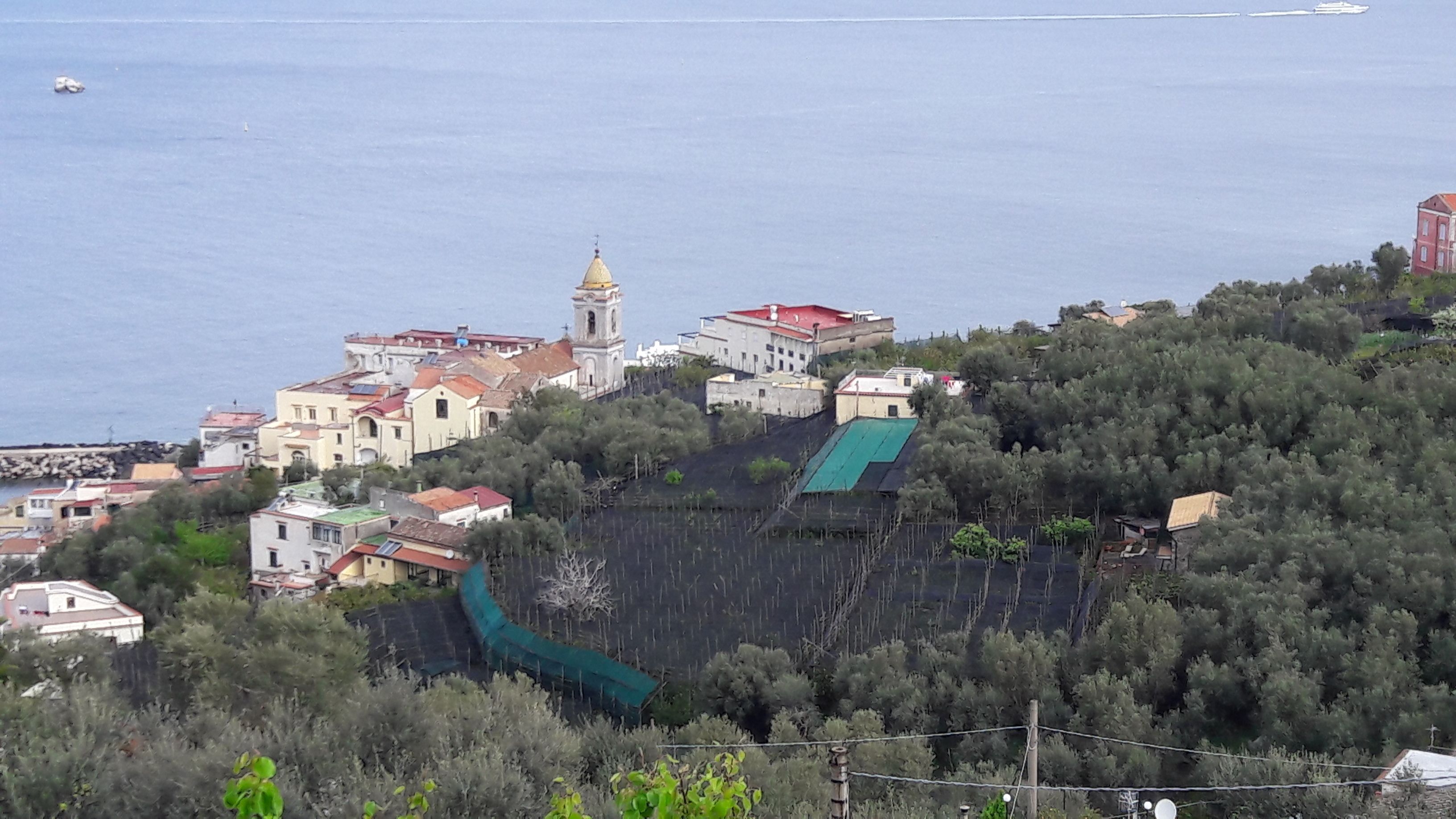 A coastal town with buildings, a church with a bell tower, and a body of water.