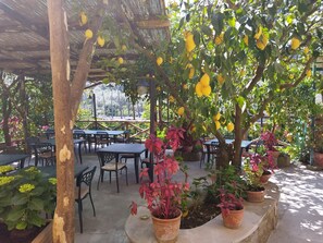 Terraza o patio