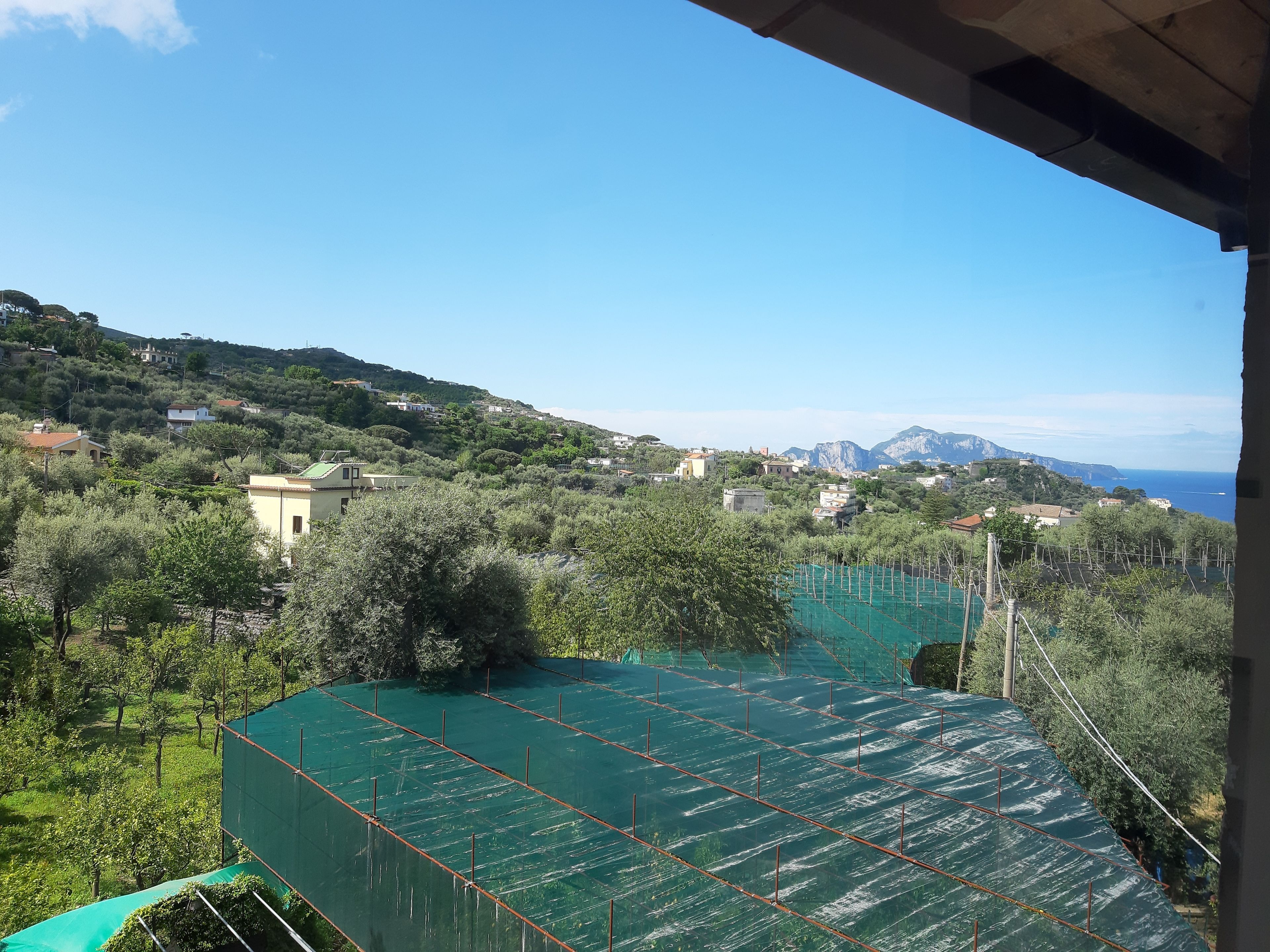 Foto - Agriturismo La Lobra