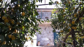 Front of property - Agriturismo La Lobra (Massa Lubrense)